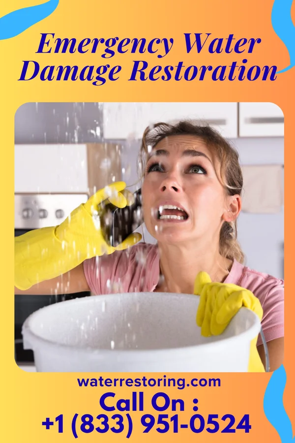 Emergency Water Damage Restoration in Swaledale, IA